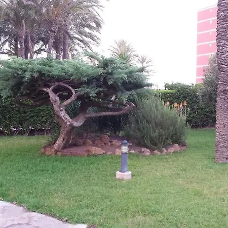 Casa Del Buho Τορεβιέχα