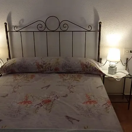 Casa Del Buho *