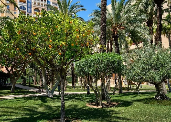 Casa Del Buho アパート