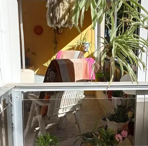 Casa Del Buho アパート